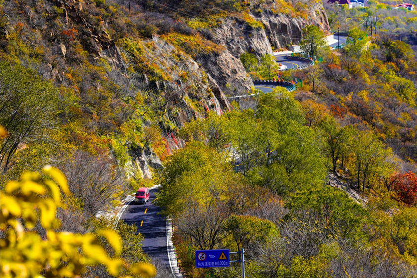 ����(w��)���ϱ������W������M�F(xi��n)���Ƽ�Ԫ�صı������ӑc�^(q��)���Z·����ͨ�\ݔ�����D