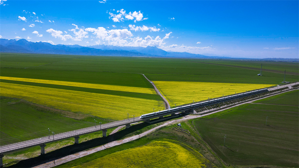 ��܇��Խ�f���Ͳ˻��������貨�z