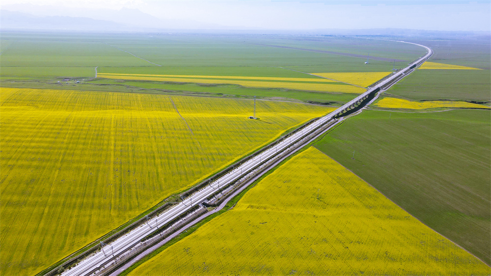 ��܇��Խ�f���Ͳ˻��������貨�z