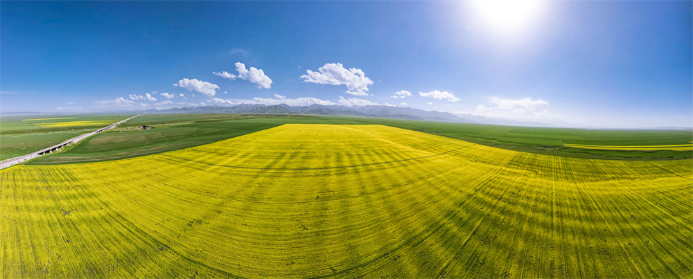 ��܇��Խ�f���Ͳ˻��������貨�z