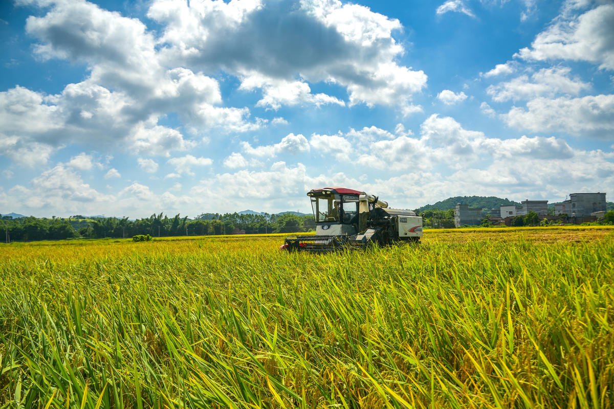 7��11�����V�����������ׅ^(q��)�����(zh��n)���r�����ړ����絾����־��z