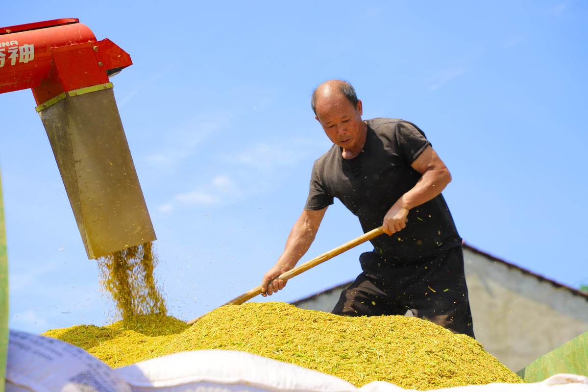 7��13�գ�����ʡƼ�l(xi��ng)�������h�r(n��ng)����æ�����ո�õ��絾�b܇�������z