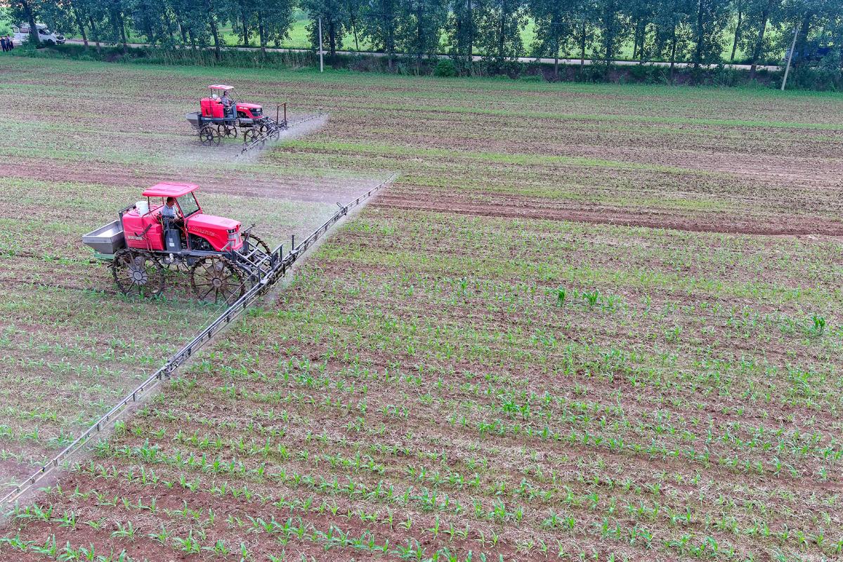 �ڰ���ʡ��������ӿh�ߘ�(bi��o)��(zh��n)�r(n��ng)����r(n��ng)���{�����ʽ�ߗU���F�C(j��)�M(j��n)�Ї�ˎ���I(y��)������ǰ�z