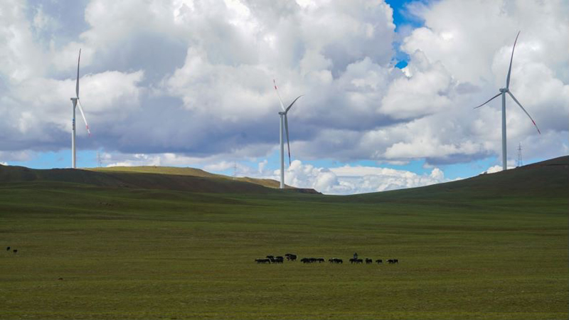 ���ش����ܹ��L(f��ng)늈�(ch��ng)����3.6�����L(f��ng)늙C(j��)�M���W(w��ng)�l(f��)������L�߹��D