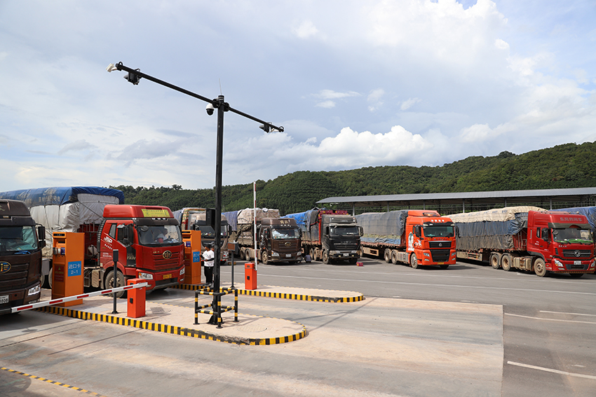 �M�d؛���܇�v��߅���Ј�(ch��ng)�Ⱥ���(y��n)������W(w��ng)ӛ�� ��l(f��)�d�z