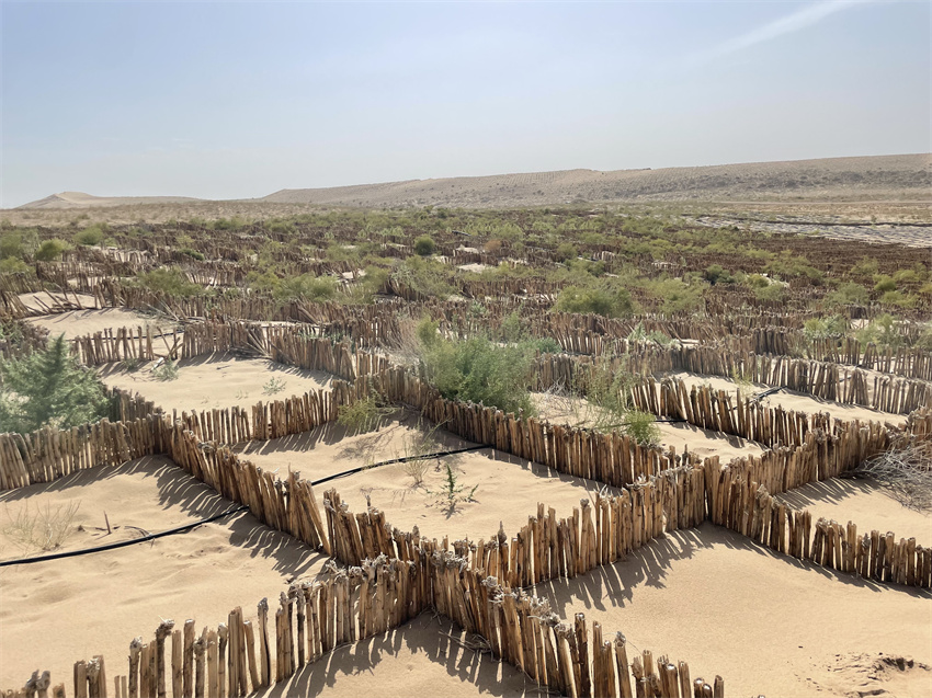 ����ɳ�׶���ɳ����ʾ���^(q��)���DƬ��Դ�������ֲݾ�