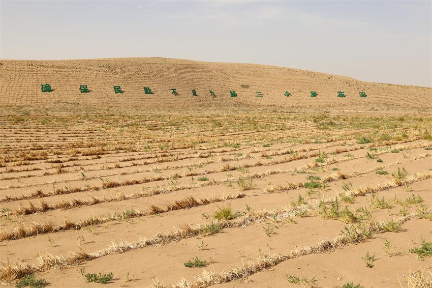 ���݅^(q��)�|������ɳ��Ч���DƬ��(l��i)Դ����(gu��)���ֲݾ�