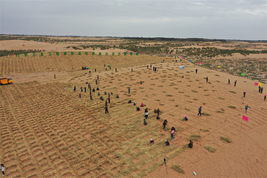 ���ڲ�����ɳ�C�(xi��ng)Ŀ�_(k��i)���F(xi��n)��(ch��ng)���DƬ��(l��i)Դ����(gu��)���ֲݾ�