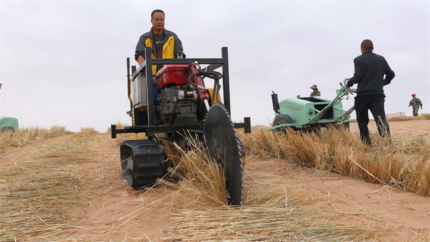 �C(j��)е��ɳ���DƬ��Դ�������ֲݾ�