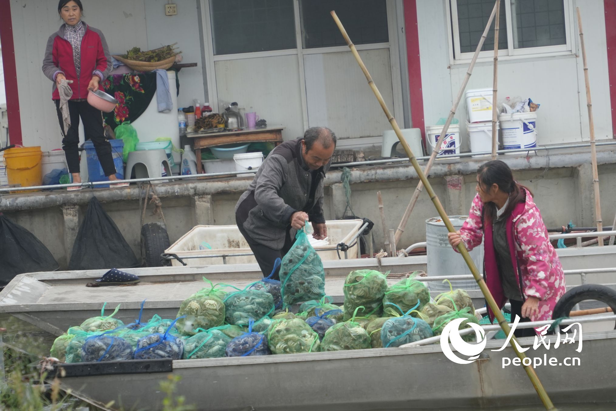 �ȴ��ϰ��Ĵ��lз������W(w��ng)ӛ�� ���옷(l��)�z