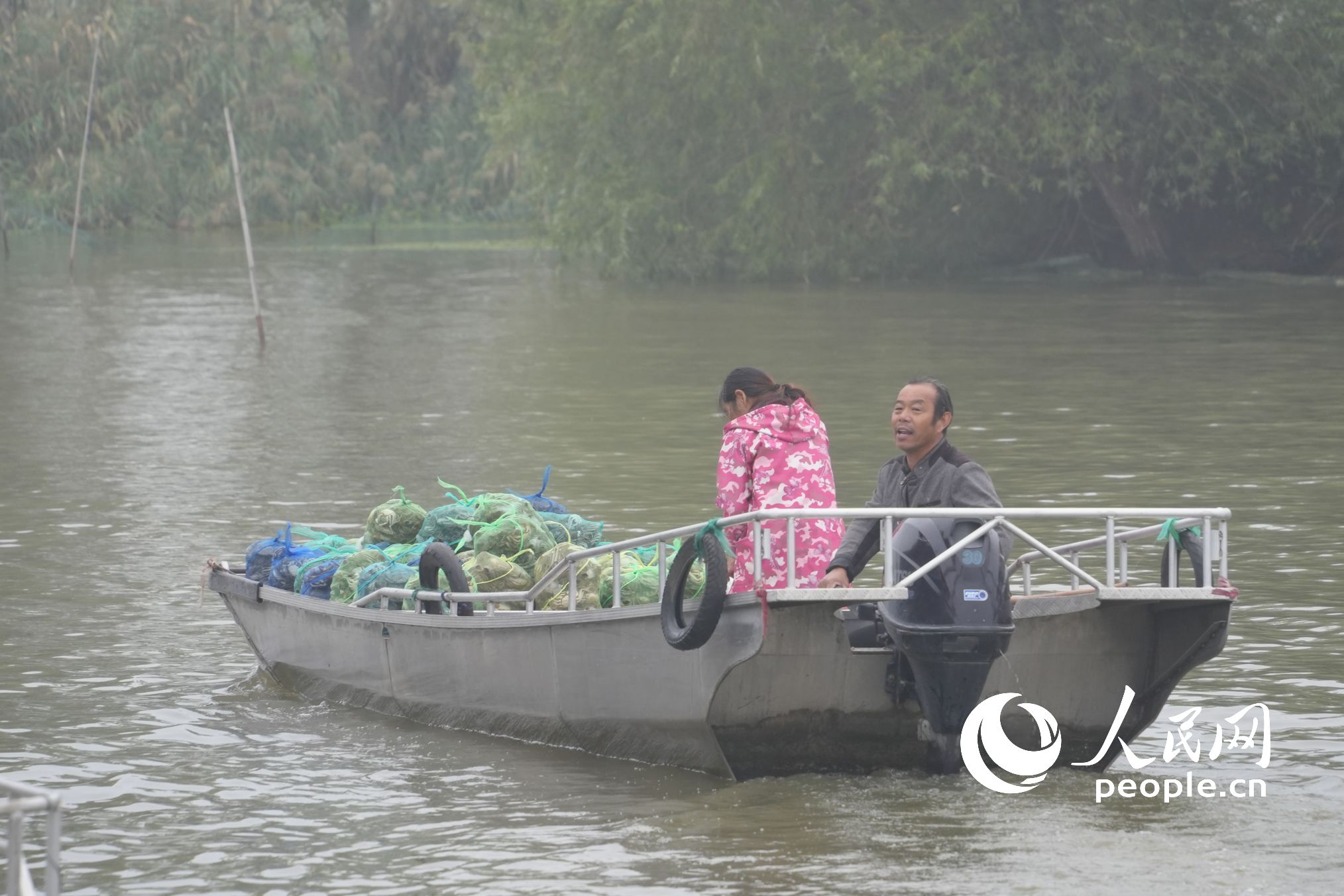 �����ρ��Ĵ��lз����߅�\ݔ������W(w��ng)ӛ�� ���옷�z