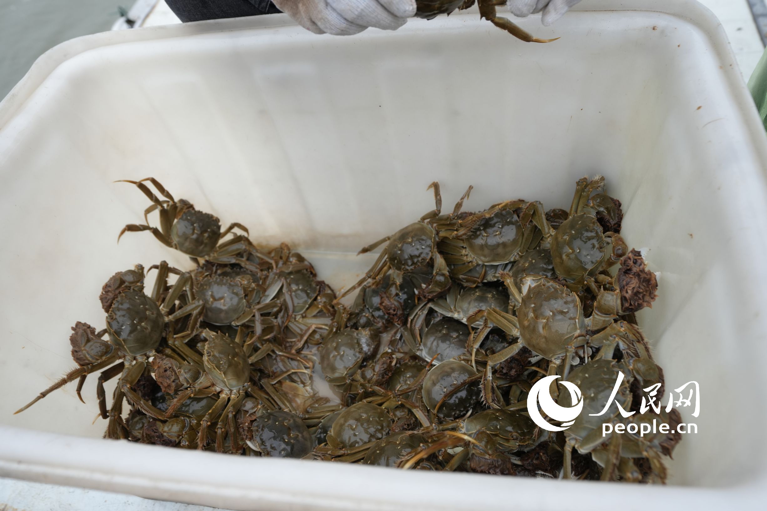 �����ρ��Ĵ��lз������W(w��ng)ӛ�� ���옷�z