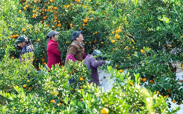 �r(n��ng)���ڹ��@�в�ժ����������ʡʯ�T�h��ý�w���� �Ɓ���z