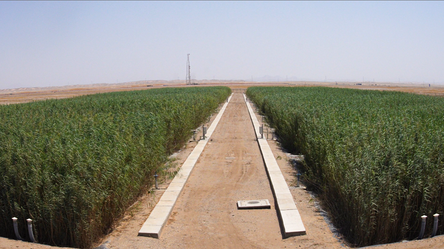 �t����߅���˹����������W(w��ng) ��(y��n)������z