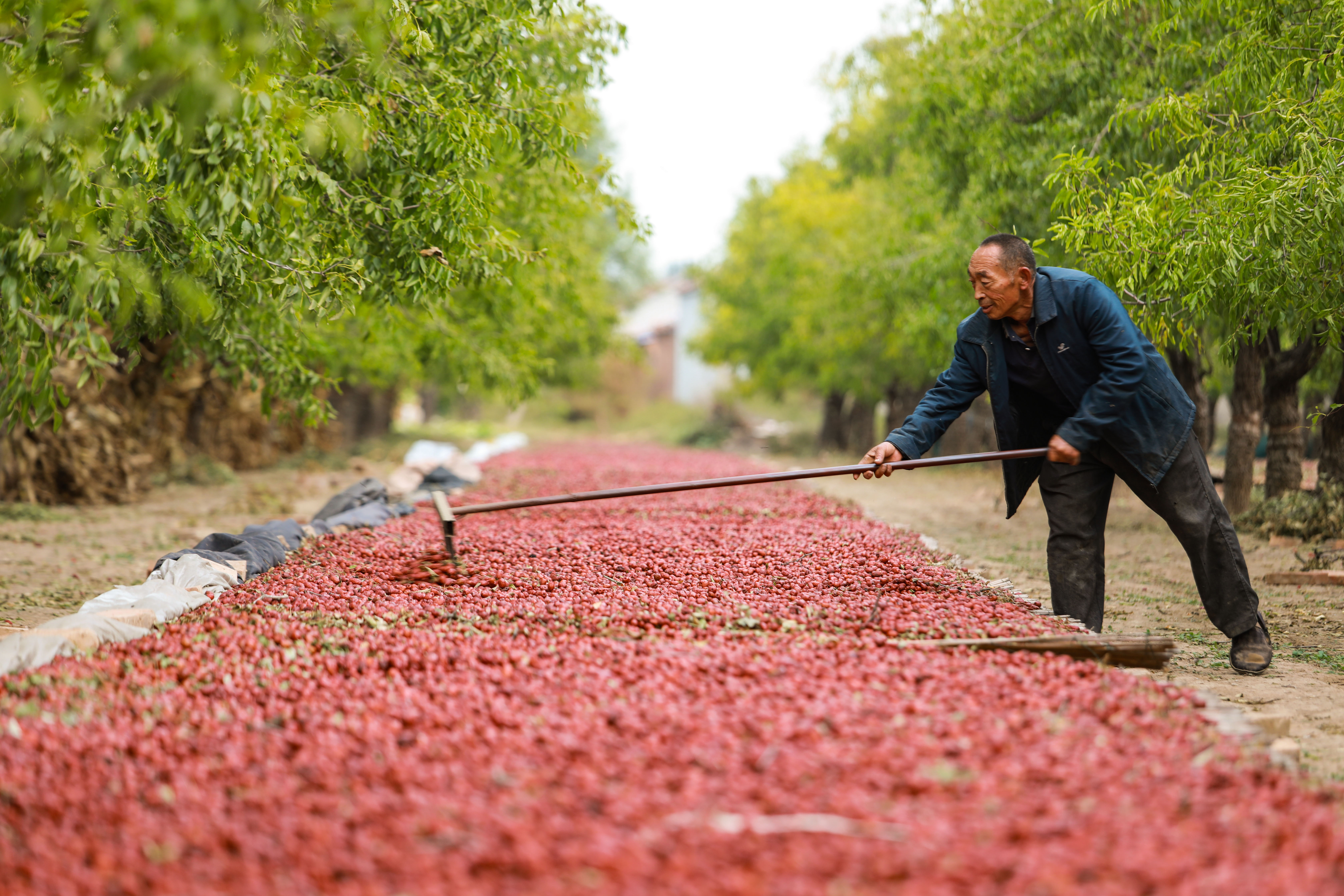 ������ɽ�|ʡ�������켯�(zh��n)����嗗���������T�������zС�����Z�i�z