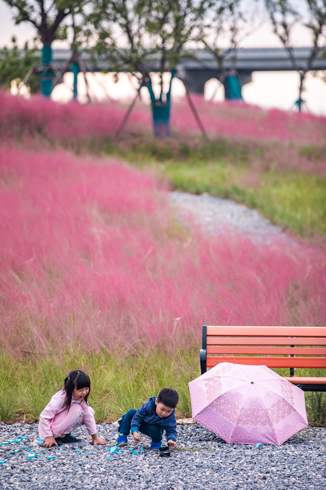 ���ӹ��@��(n��i)����ͯ��ˣ����Դ����h�R�ո��Y�ώ�