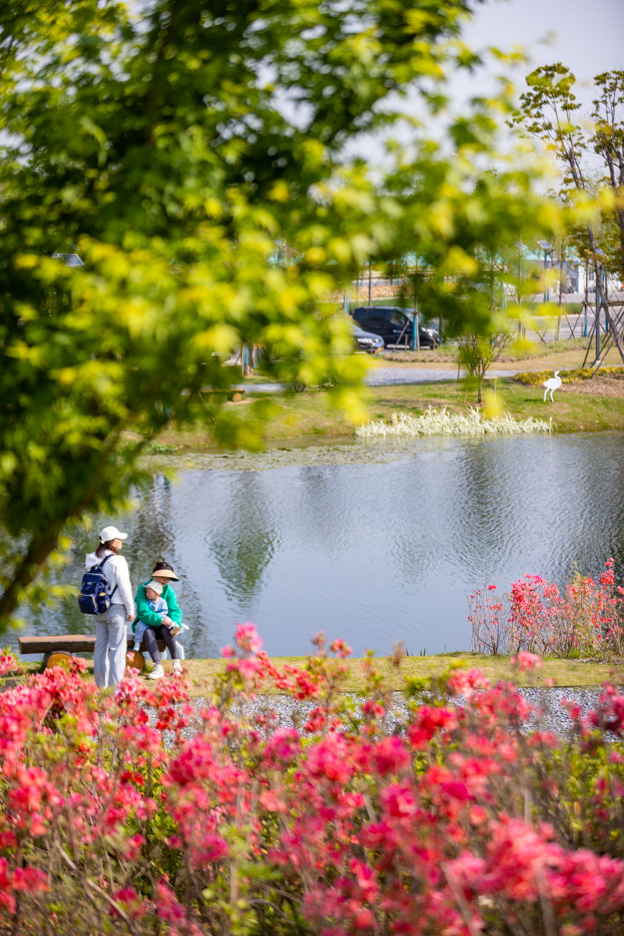 ���N�u��(n��i)�����翗���DƬ��Դ����h�R�ո��Y�ώ�