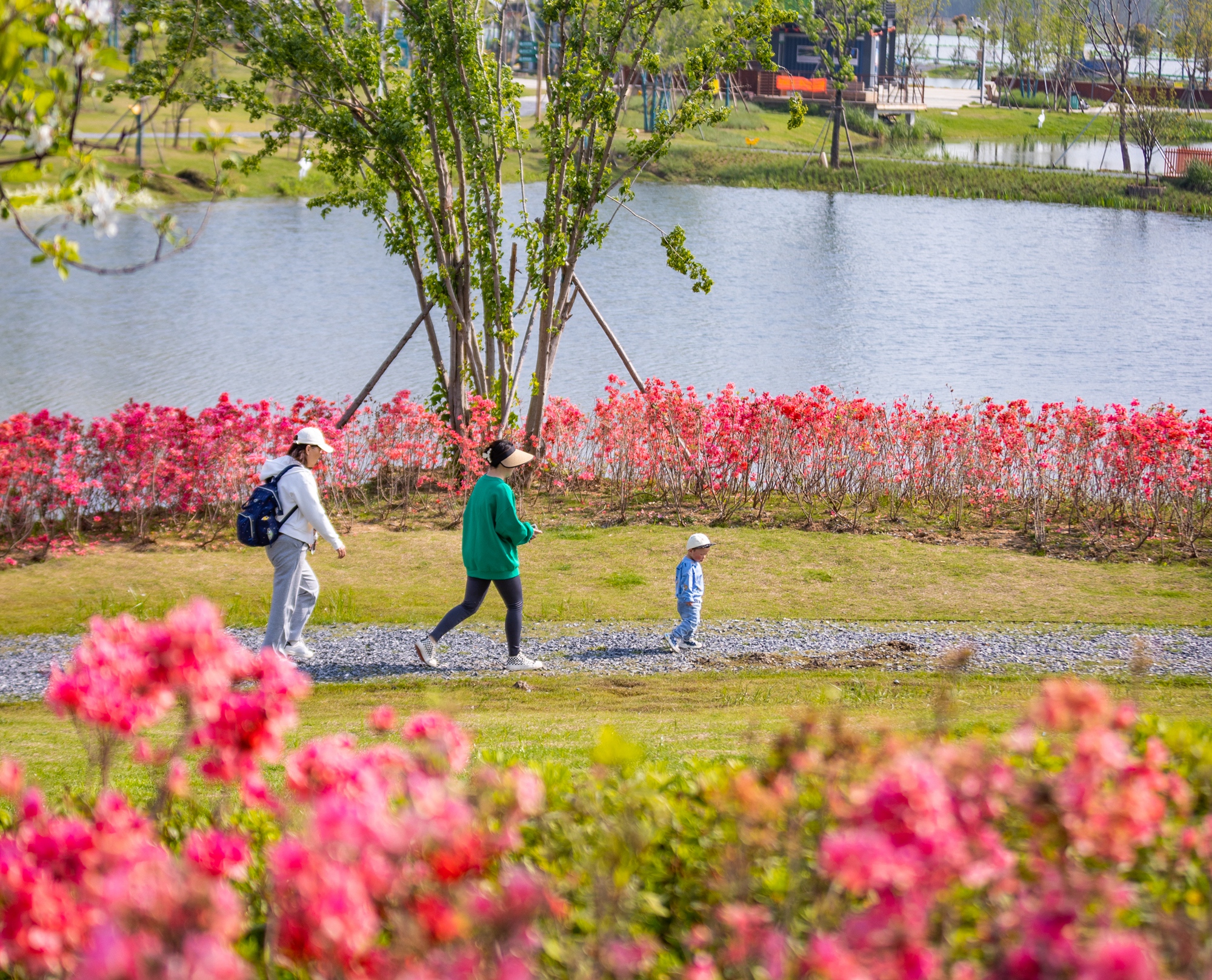 ���N�u��(n��i)�����翗���DƬ��(l��i)Դ����h�R�ո��Y�ώ�(k��)