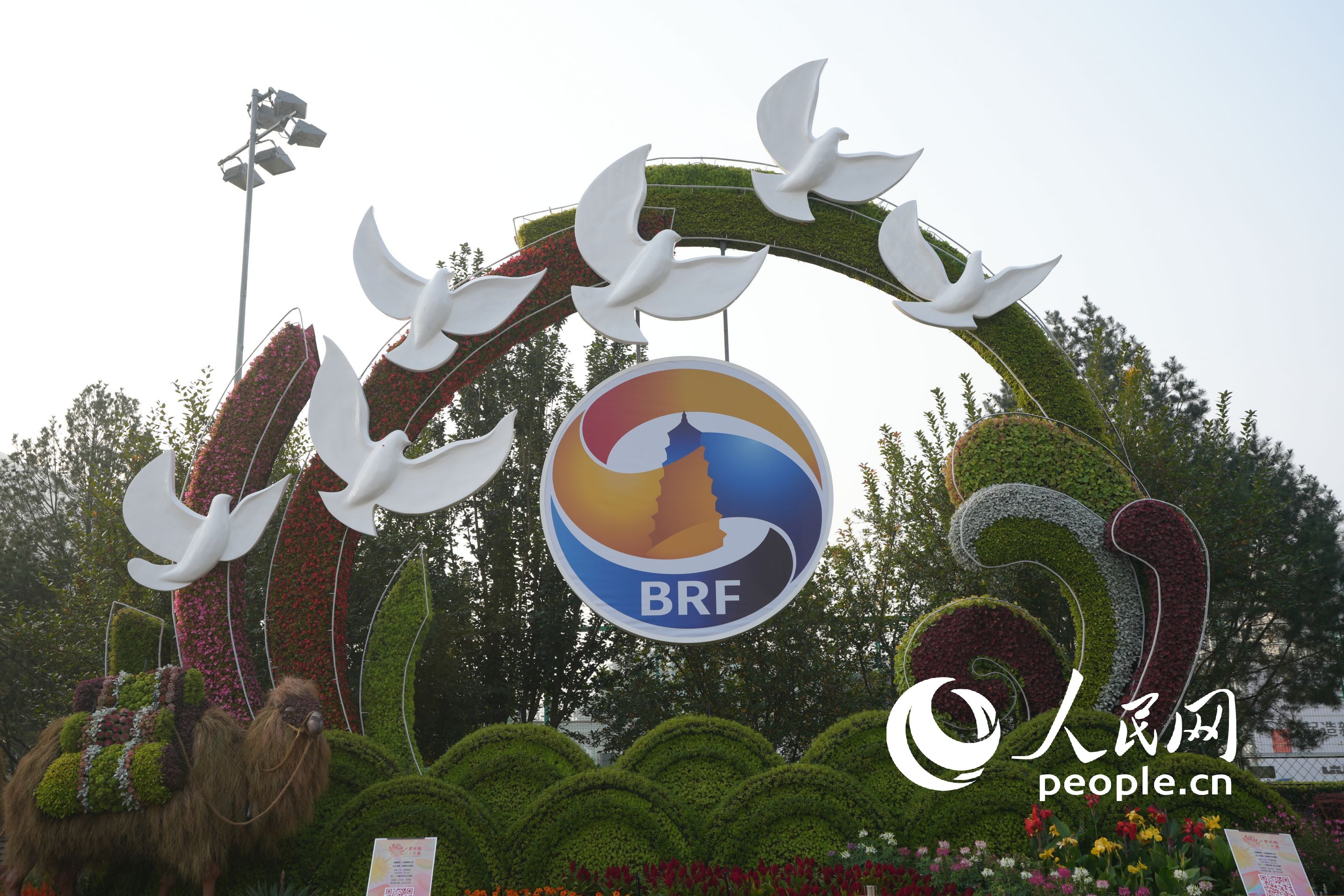 λ�ڱ����|��·�ڵġ���ƽ�l(f��)չ�����}������������W(w��ng)ӛ�� ���옷(l��)�z��