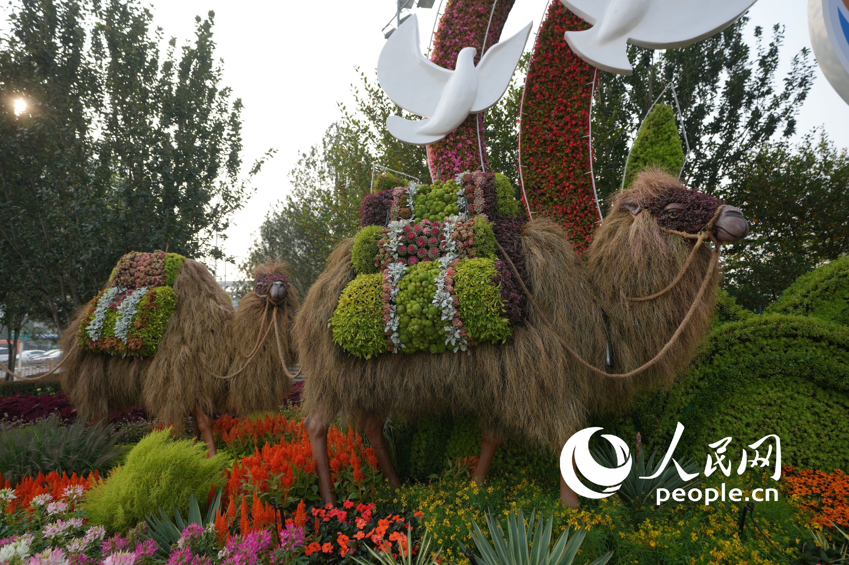 ����ƽ�l(f��)չ�����}��������������������W(w��ng)ӛ�� ���옷�z��