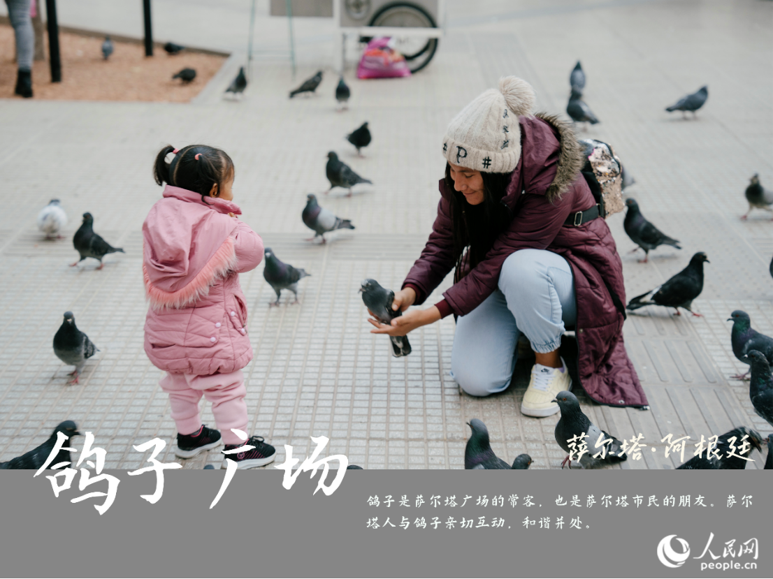 ���ڽz·����(l��i)����͢�����_�������ܶ�ʸ�ԭ���С�4��