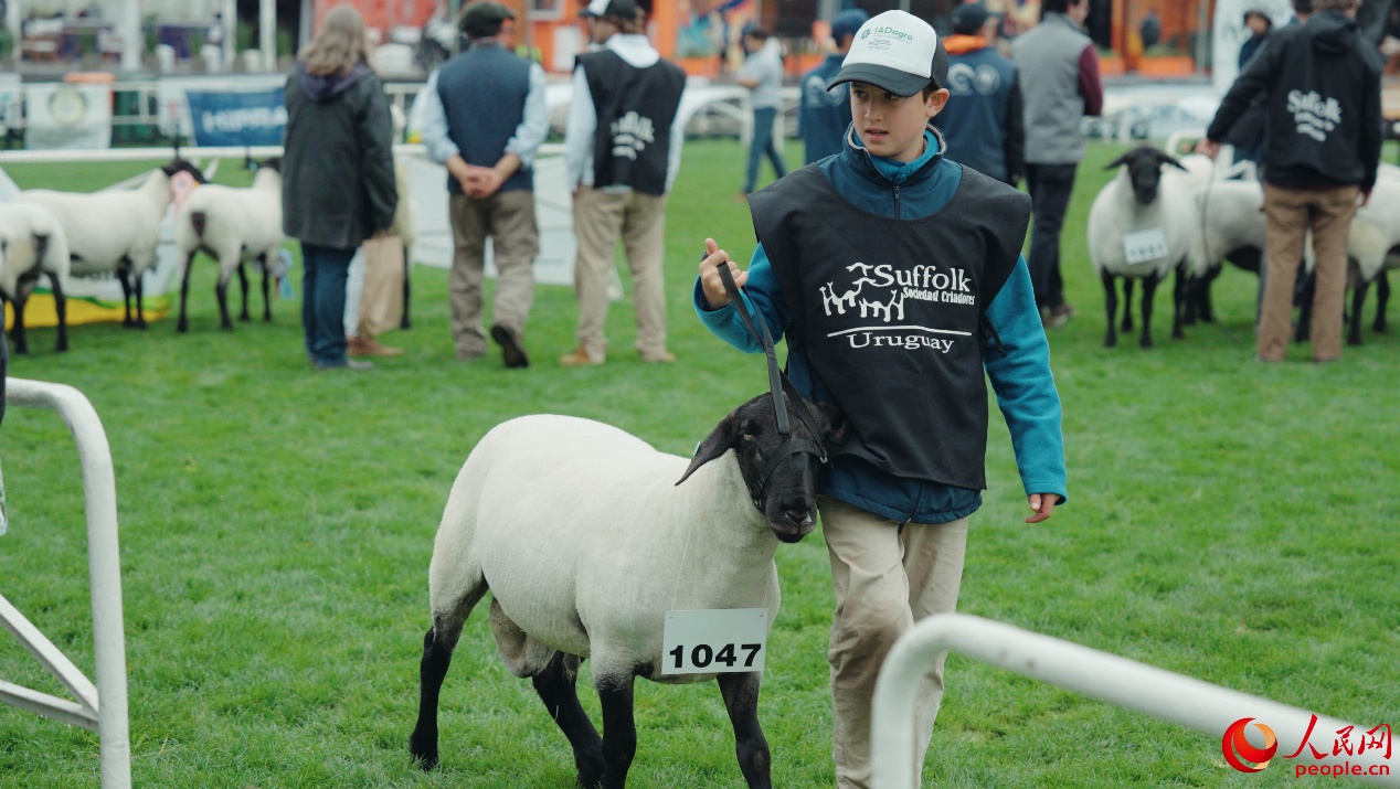 �������118�����������r(n��ng)�I(y��)���H���[���F(xi��n)��������W(w��ng)ӛ��&nbsp;�������z