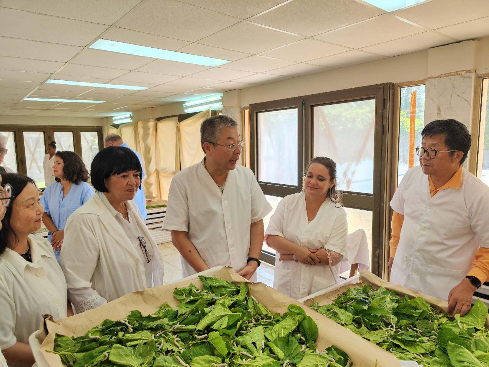 2023��5��23�����Ї��v�Űʹ�ʹ�R�x��������Q���Ƽ�������������Դ���Ї��v�Űʹ�ʹ�^�پW(w��ng)