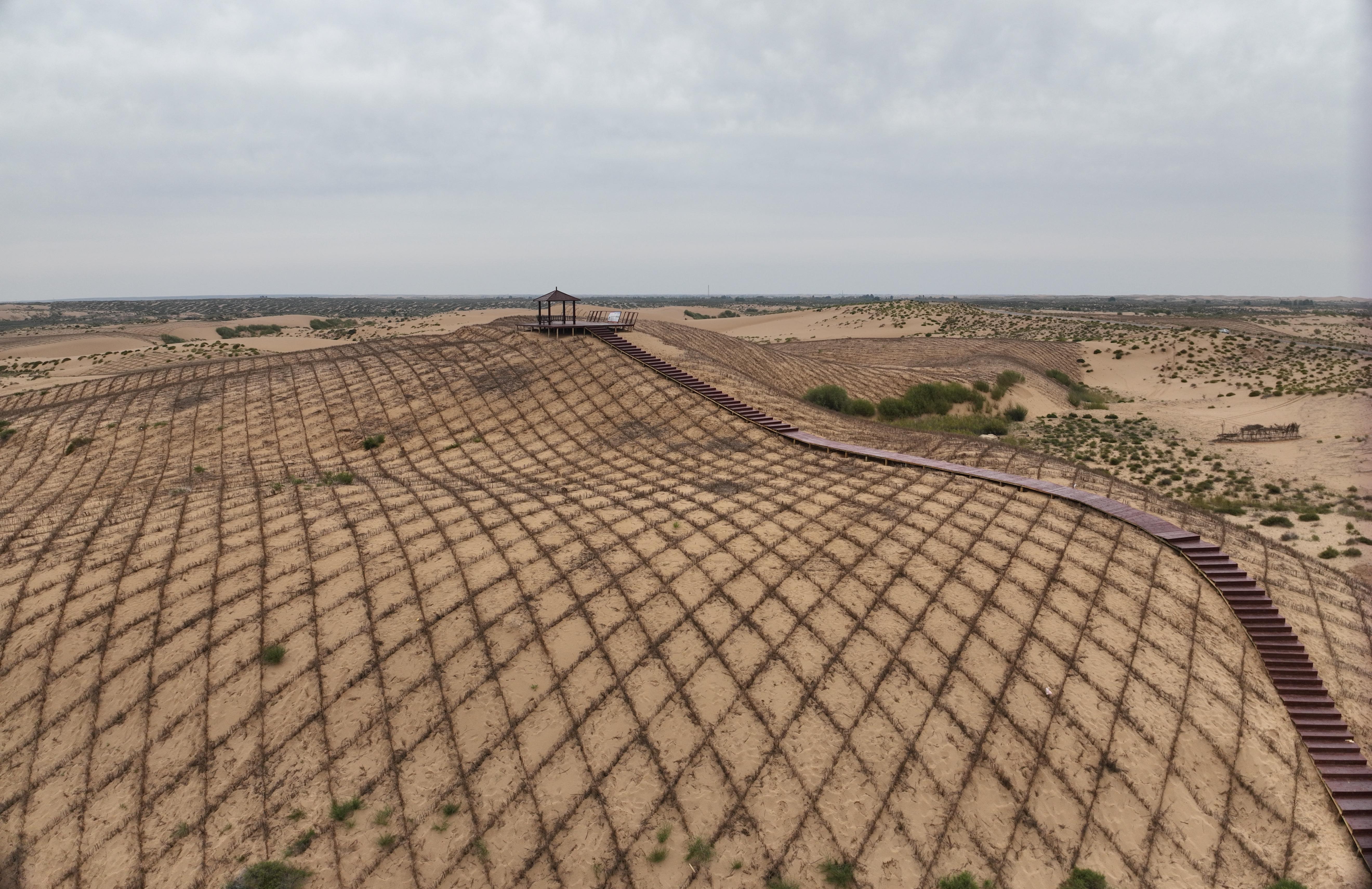 ë����ɳ�ظ��؃�(n��i)��ɳ�ش����ˡ��W(w��ng)������������W(w��ng) �W�(y��ng)�׼єz