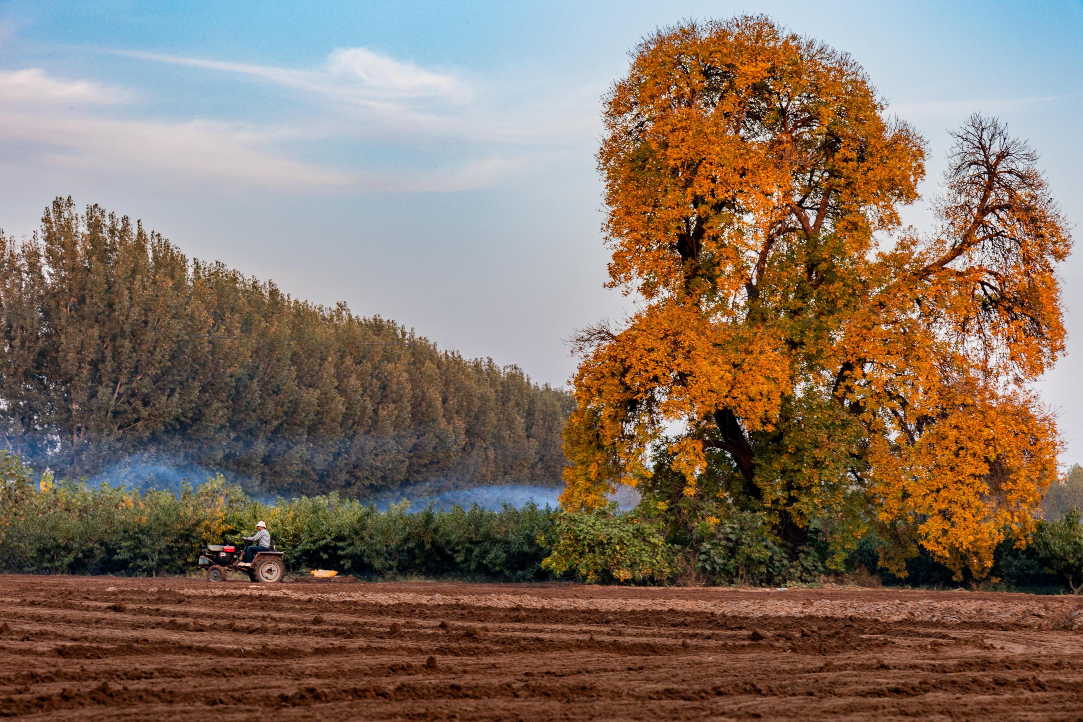 ����u��������ʡ����Ѓ�(n��i)�S�h�r(n��ng)���oץ�r(n��ng)�r���NС���������Ԕz