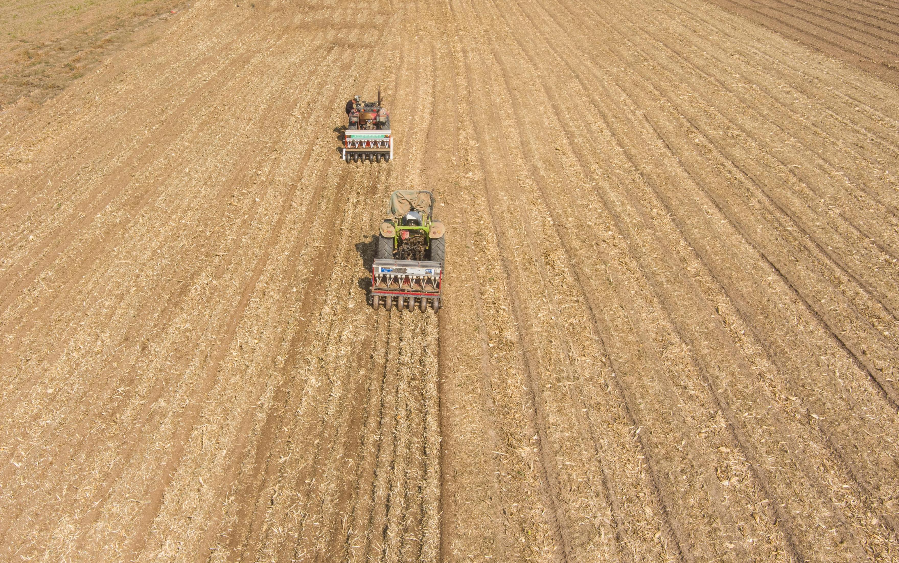 ˪����(ji��)��������ʡ����Ѓ�(n��i)�S�h�r(n��ng)����ץ�r(n��ng)�r(sh��)���NС��������Ӣ�z