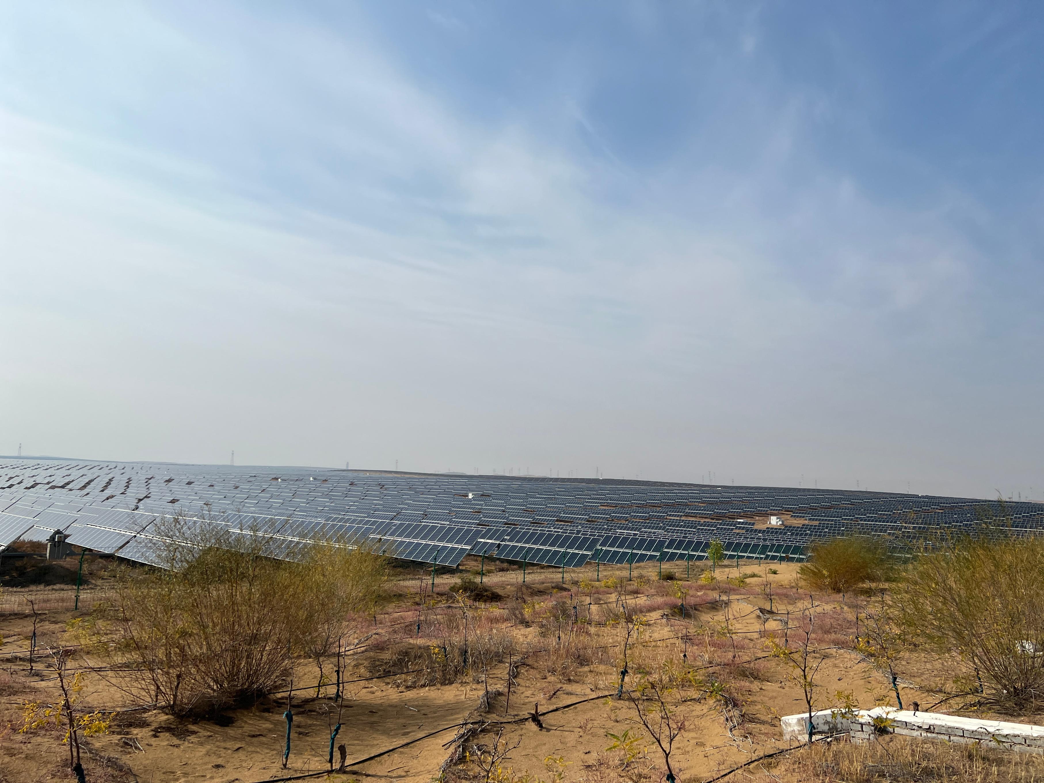 ��(k��)����ɳĮ�ĸ�����һ���o(w��)�H�Ĺ����������W(w��ng) �W�(y��ng)�׼єz