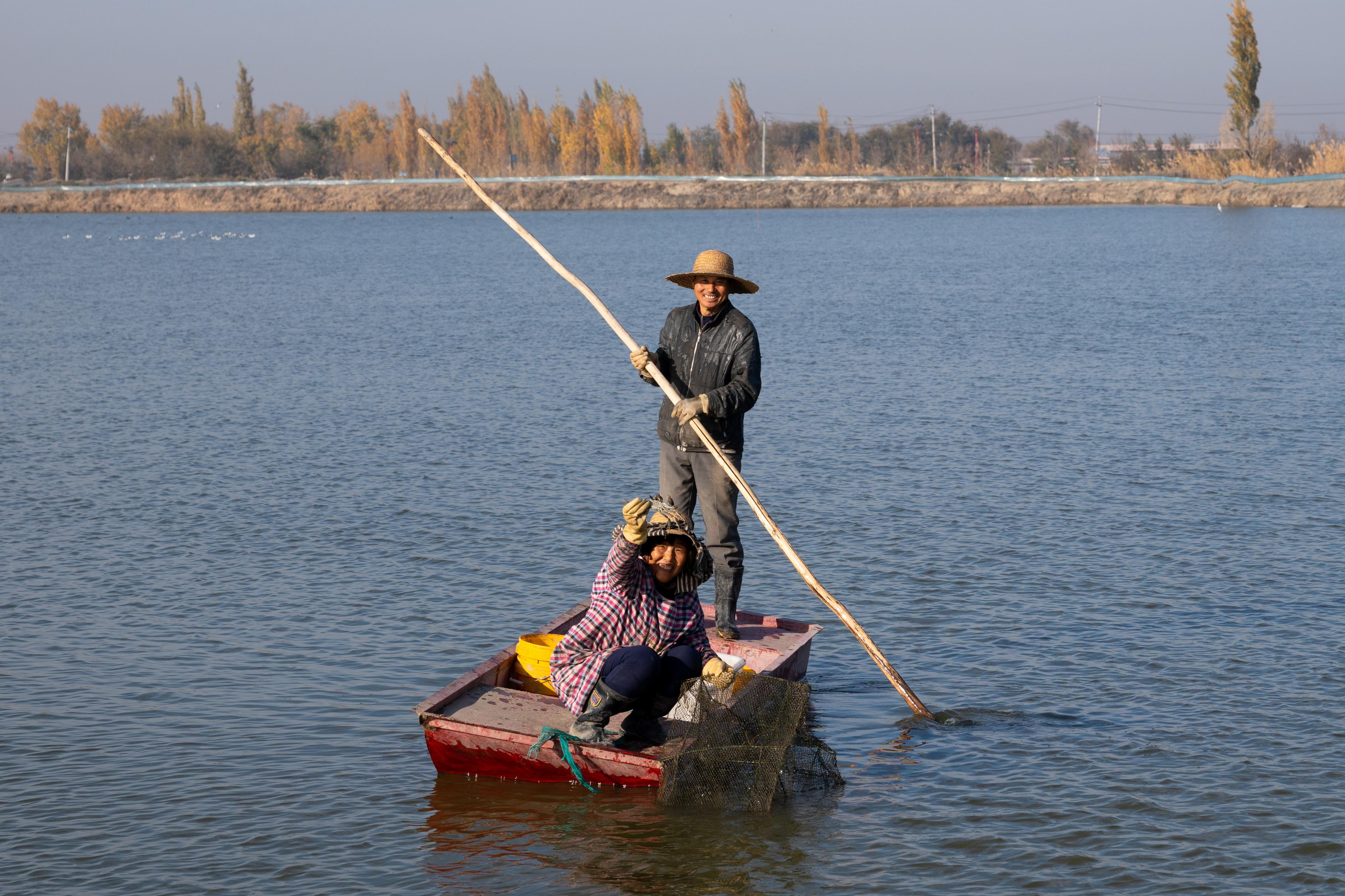 �ڲ����ݬ��{˹�h�V�|���l(xi��ng)���B(t��i)�з�B(y��ng)ֳ�������B(y��ng)ֳ�����ڲ����з����(gu��)�Ҷ���(w��)���֬��{˹�h����(w��)�ֹ��D �ބ��t�z