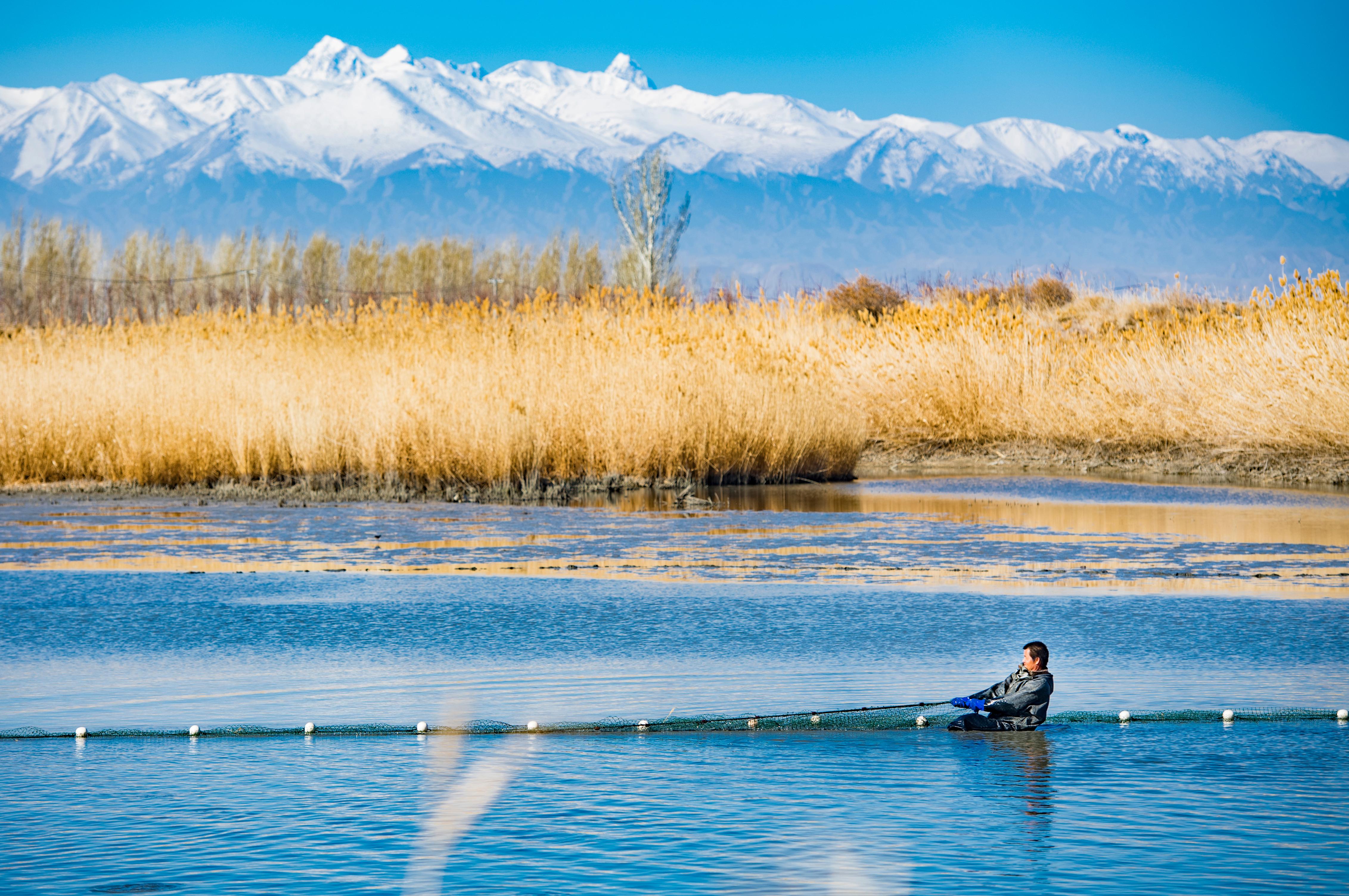 ������ݠ�^(q��)�O�I(y��)�S������(gu��)�Ҷ���(w��)���ֲ������������ݶ���(w��)�ֹ��D �����z