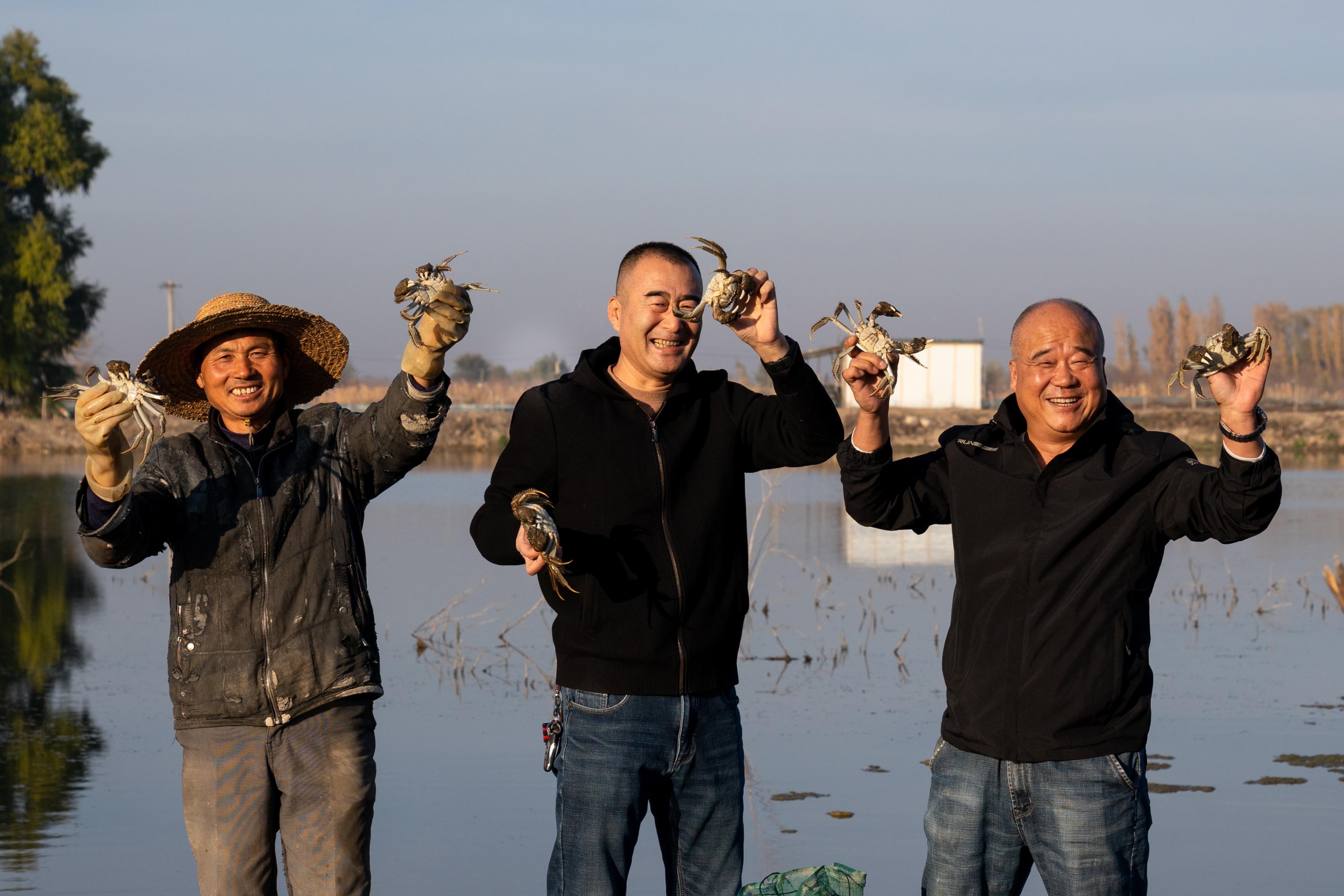 �ڲ����ݬ��{˹�h�V�|���l(xi��ng)���B(t��i)�з�B(y��ng)ֳ�������B(y��ng)ֳ�������з�������ի@ϲ������(gu��)�Ҷ���(w��)���֬��{˹�h����(w��)�ֹ��D �ބ��t�z