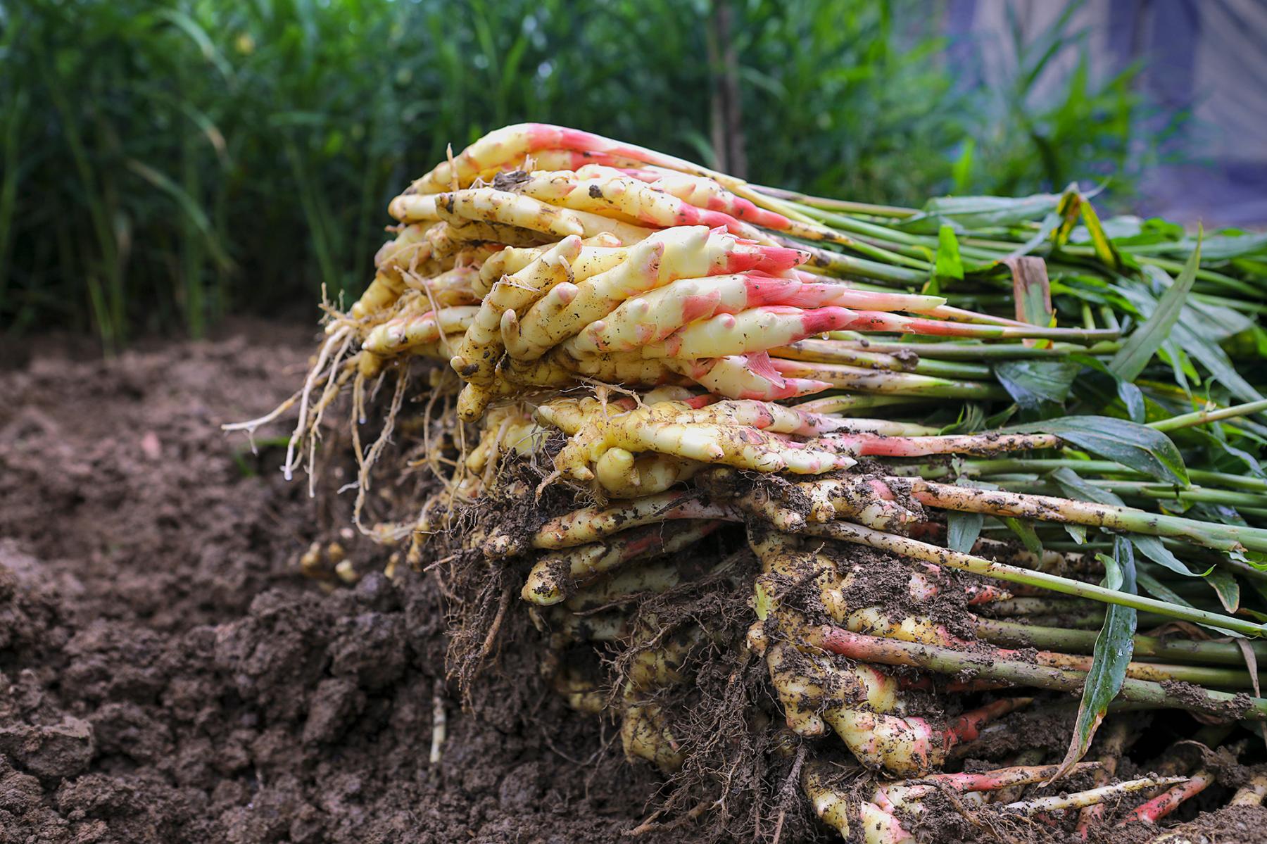 �����~��׽����r�I(y��)�r�岿���D