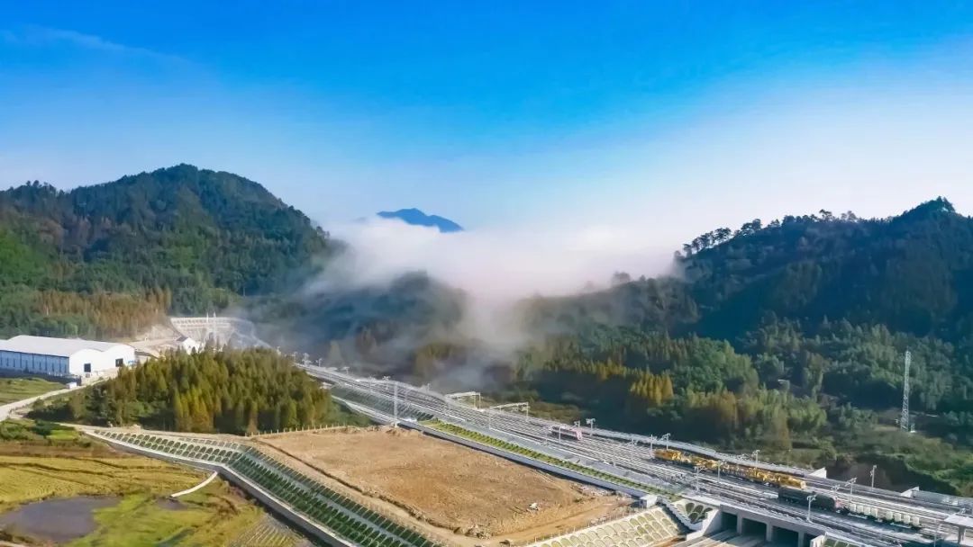 �Ϻ��ּ��F(tu��n)��˾��ý�w���Ĺ��D