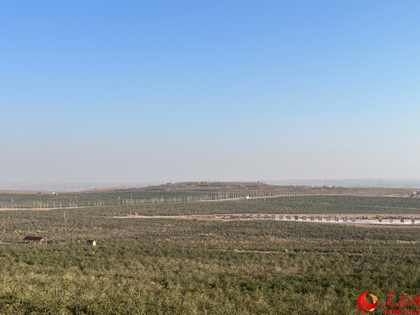 λ���Ќ���轼t����С�a(ch��n)�^(q��)���f(w��n)����轈@������W(w��ng)ӛ�� �����w�z