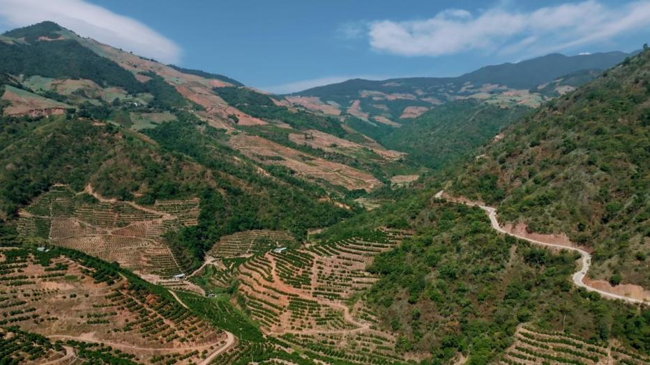 ������Ϫ��ƽ�h��ɽ��Ұ�ı��ǳ��������L�����D