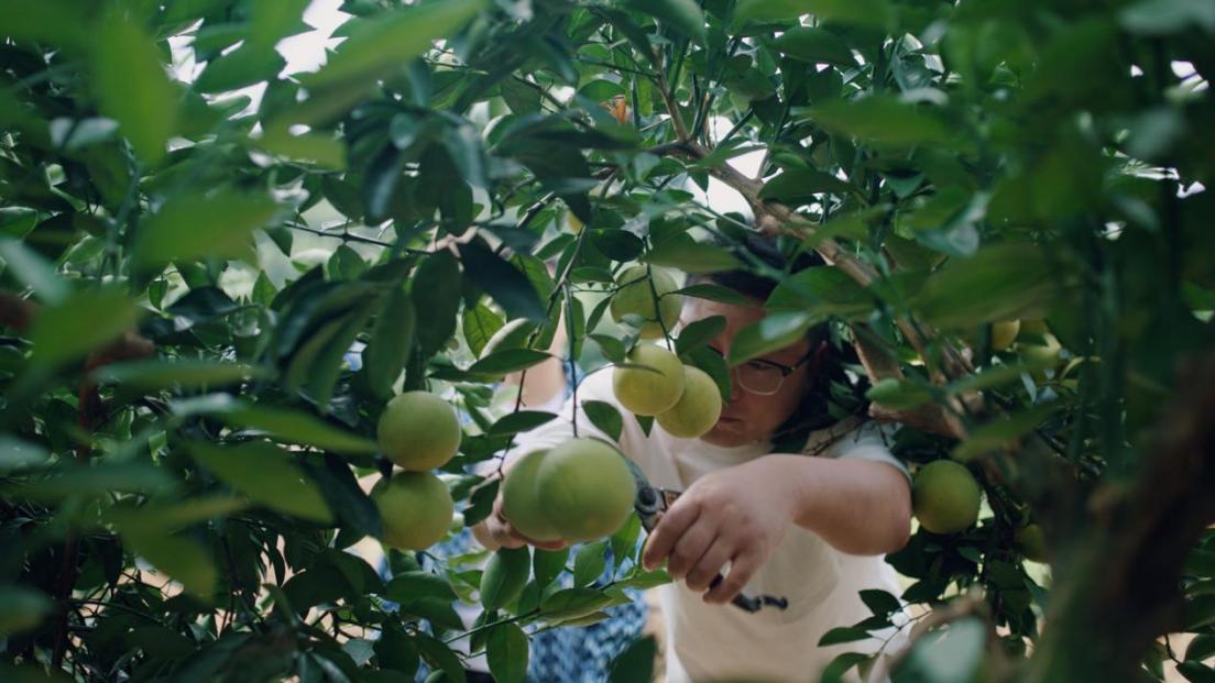 ��F(xi��n)���ڲ�ժ���ǳȘ��ϵă�(n��i)�Ź������L�����D