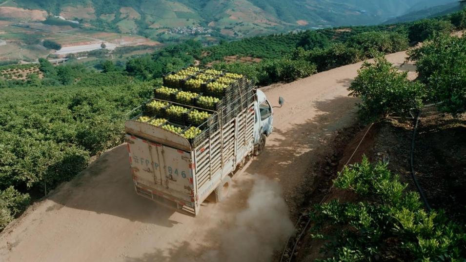 ���ǳ��\(y��n)ݔ܇�����L�����D