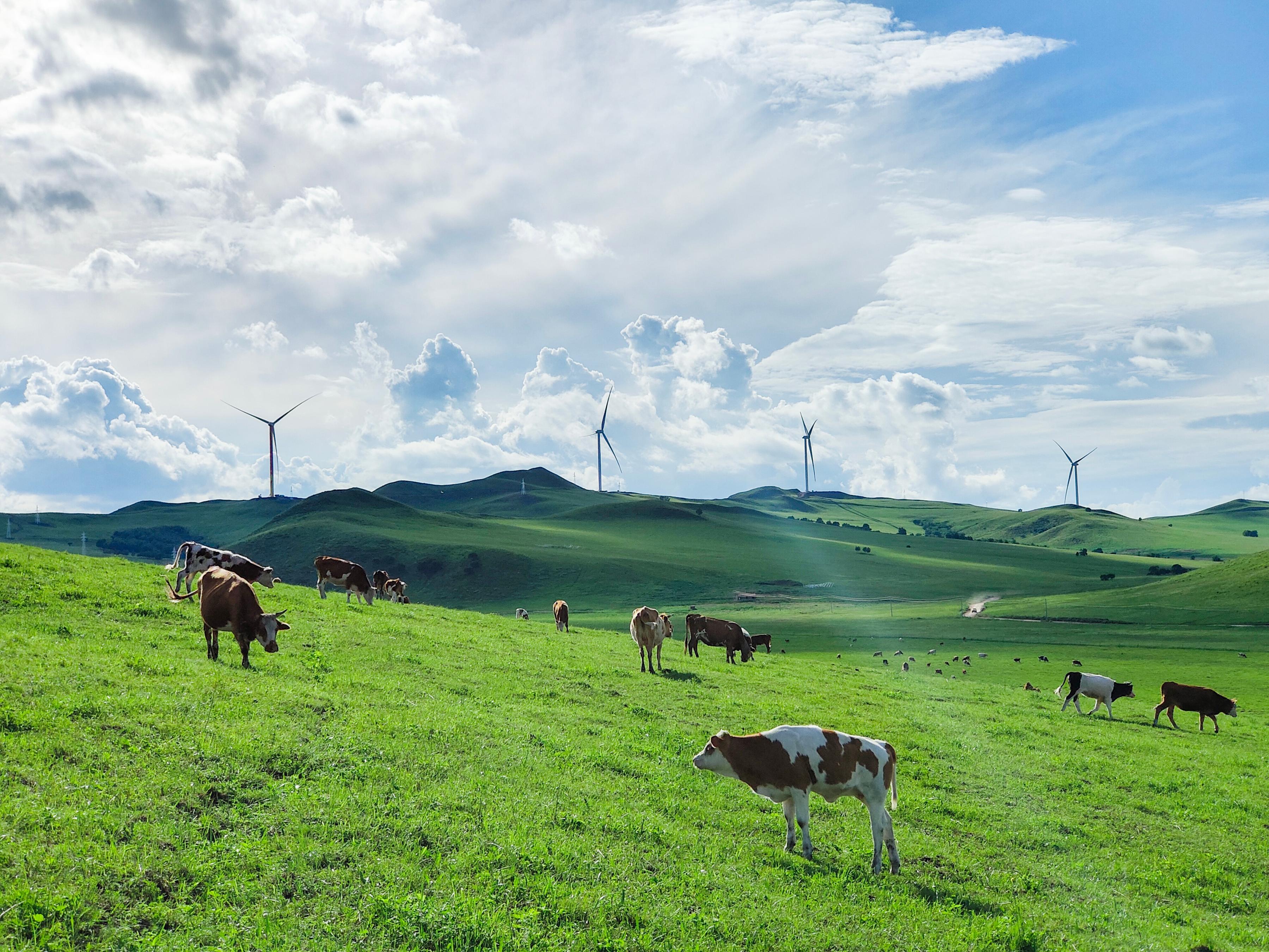 �Ї��V���d����300�fǧ���L��Ŀ�� ���L�߹��D