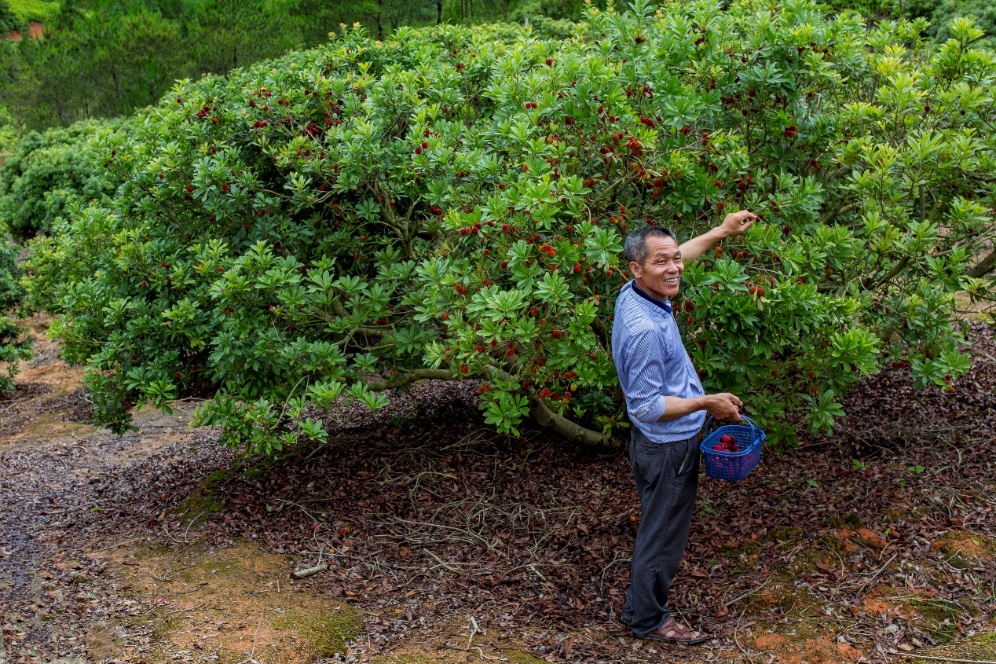 ��ɽ׃������ɽ���������ڲ�ժ��÷��¶���Ҹ�Ц�ݡ�������z