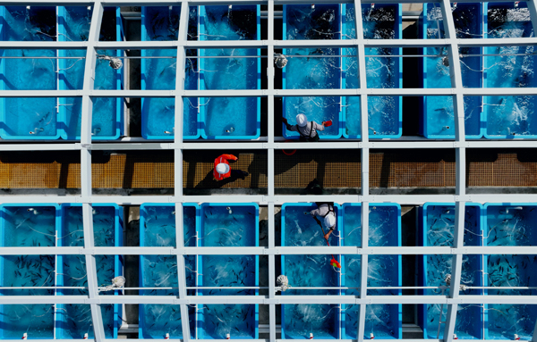 �V�|���iLNG����վ�������a(ch��n)�a(ch��n)�����亣ˮ�_չ�B(y��ng)ֳ�Ŀ����С�ɔz