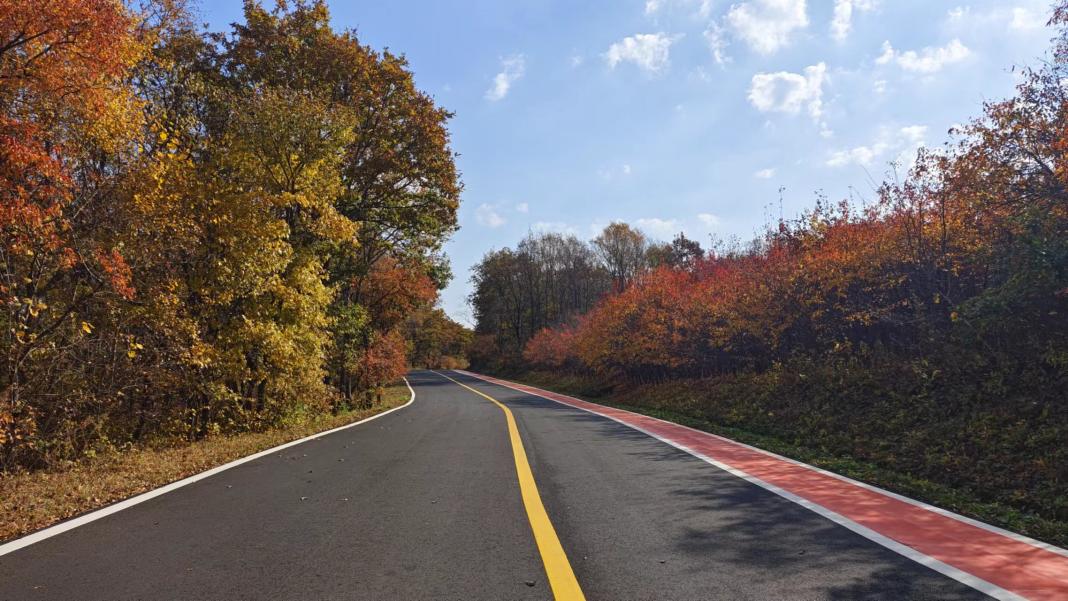 ���_(t��i)�^(q��)���@�tɫ�Ļ�����ѩ�YԴ����ɫ�������M(j��n)һ�����Ƶ�·���������_(t��i)�^(q��)ί���������D