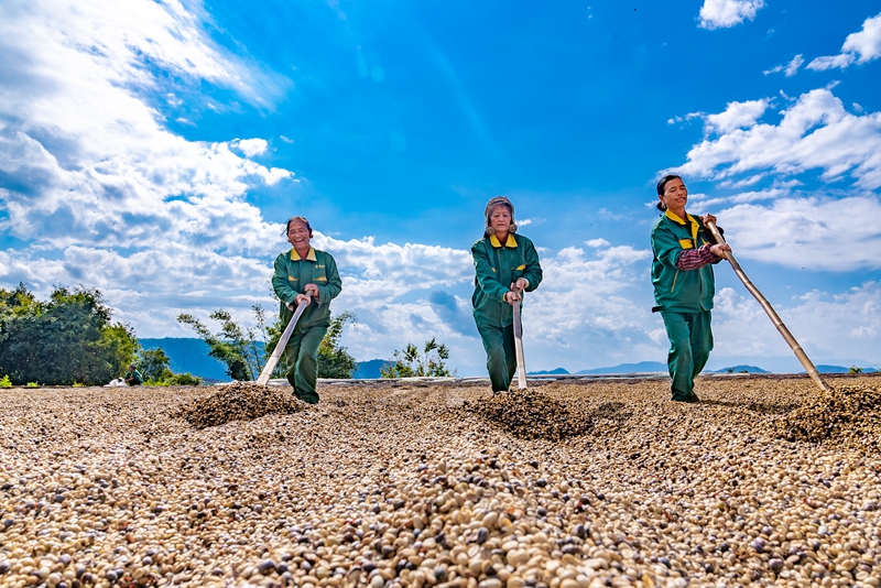 �����ն������f�@��(n��i)�����r(n��ng)���ڷ��񿧷ȶ�������W(w��ng)ӛ�� ������z