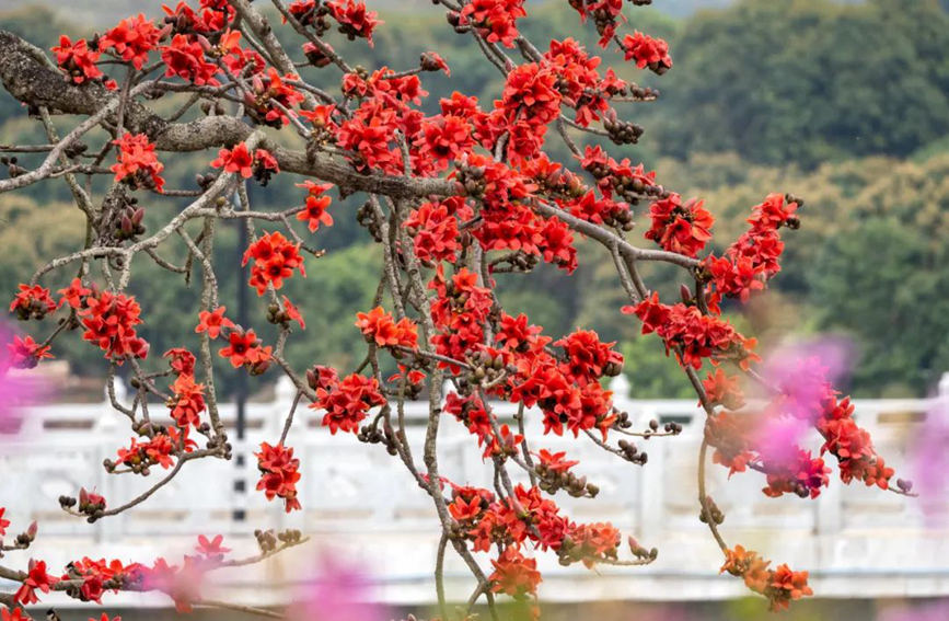 �V�|ʡ�V���еĖ|�����ϣ�ľ�޻���Ȼʢ�_���DƬ��Դ���Ї������