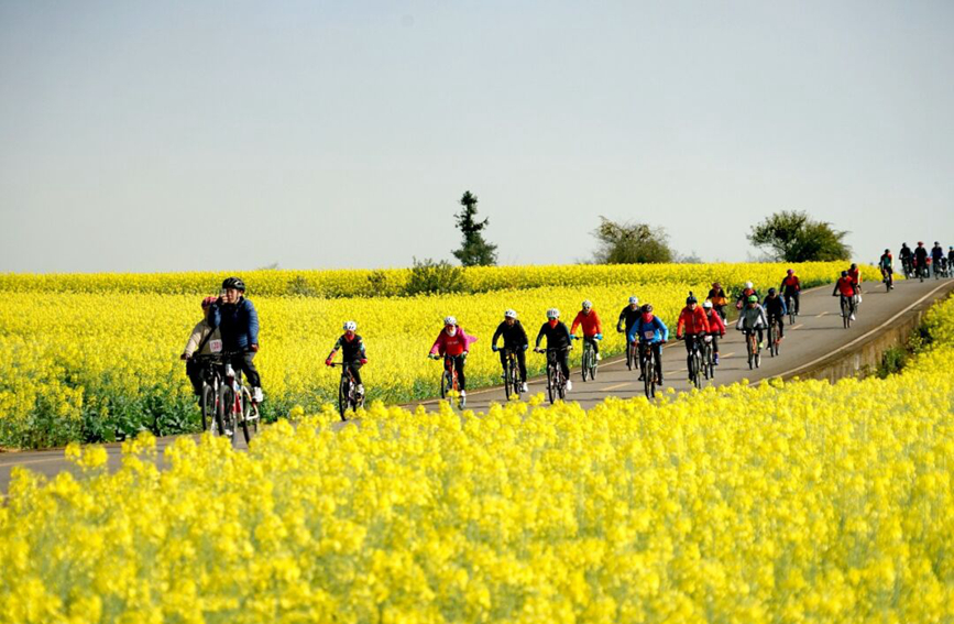 ����ʡ�����е��Ͳ˻��������f���Ͳ˻���̎ʢ�������T�ւ��T���ڻ��������DƬ��Դ���Ї������