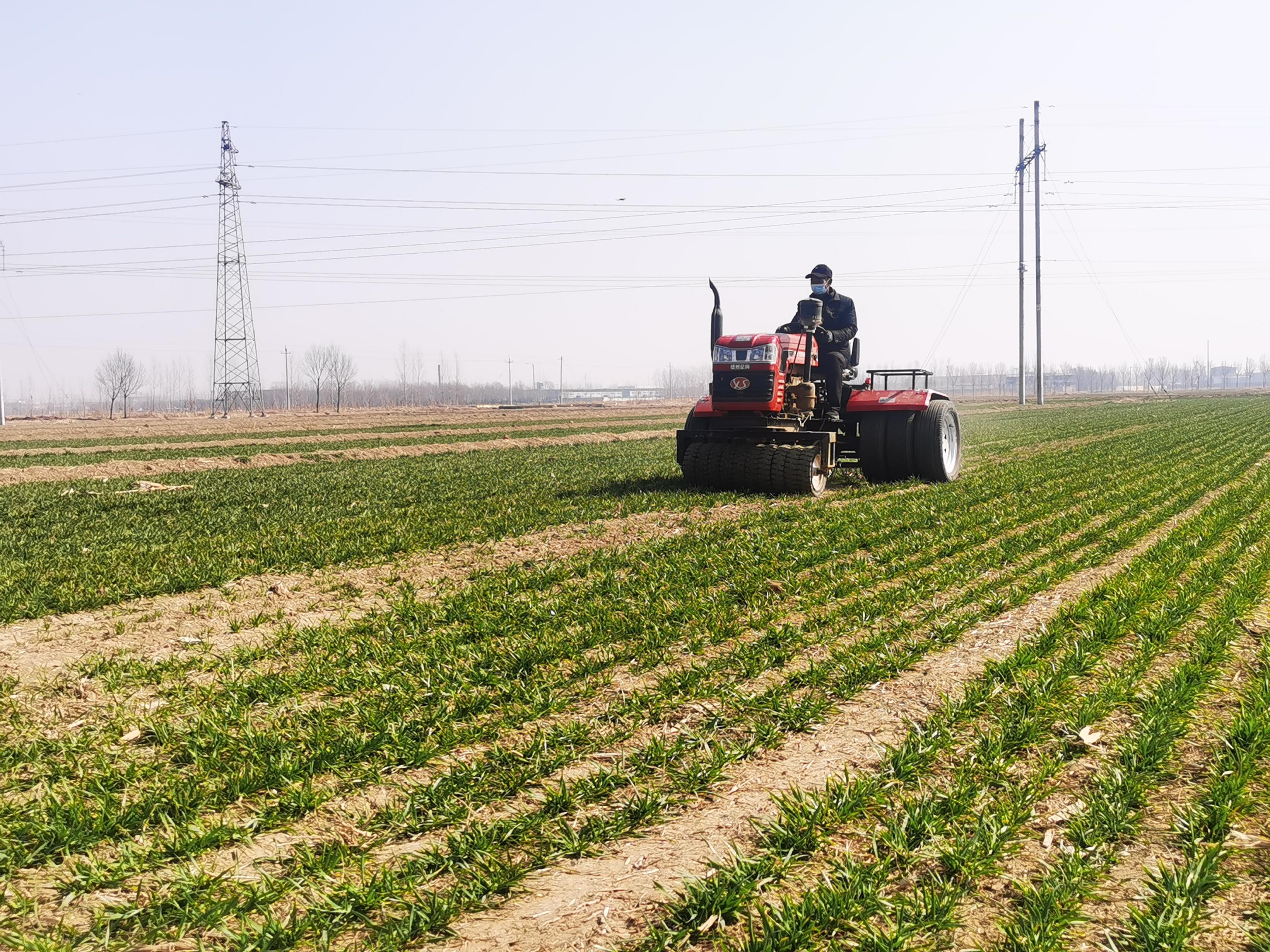 ��ɽ�|ʡ�I���л���h���r(n��ng)��鷵���ڵ�С���M(j��n)���(zh��n)���������I(y��)��܇���ɔz