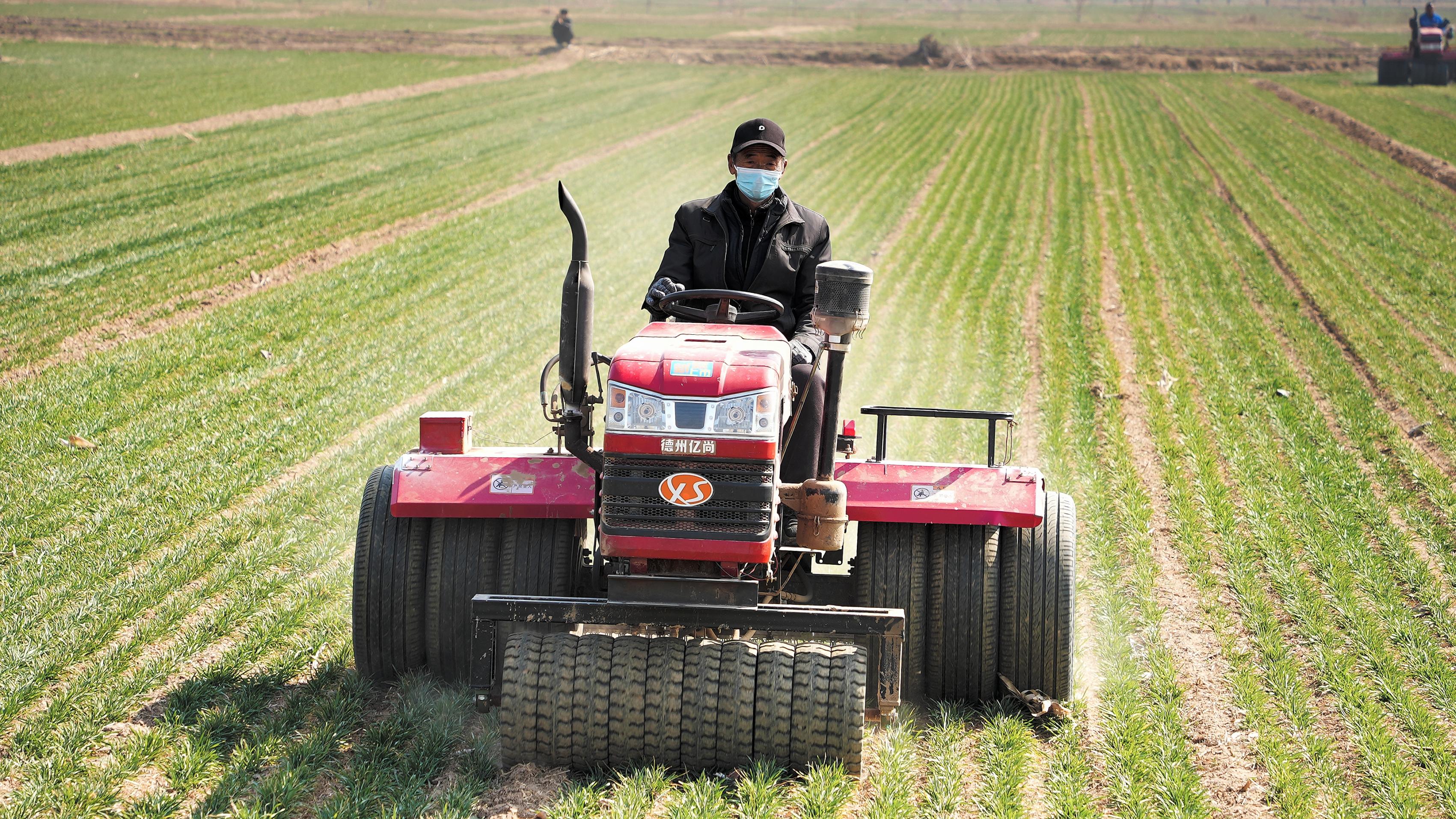 ��ɽ�|ʡ�I���л���h���r(n��ng)���С���M(j��n)���(zh��n)���������I(y��)����z