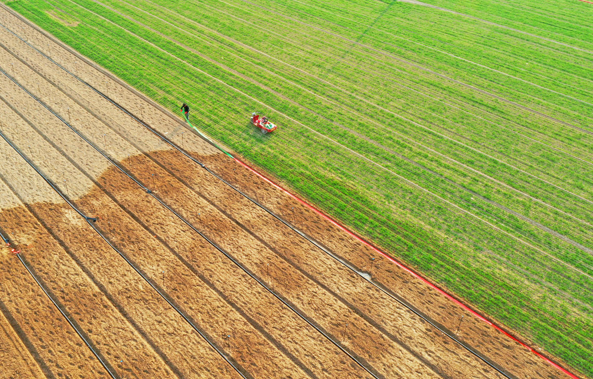 3��14�����������������ִ���������g�M�д�������ˮƽ�z